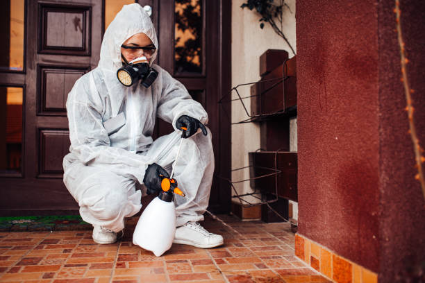 Reliable Ant Control contractor in Kapolei, HI by Nex Pest Control